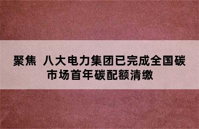 聚焦  八大电力集团已完成全国碳市场首年碳配额清缴